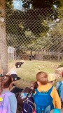 IMG-20250611-WA0012