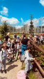 IMG-20250611-WA0014