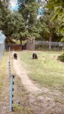 IMG-20250611-WA0016