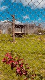 IMG-20250611-WA0017