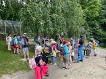 IMG-20250612-WA0003