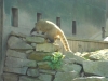 dscn3439_0