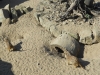 dscn3443_0