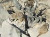 dscn3445_0