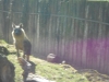 dscn3453_0