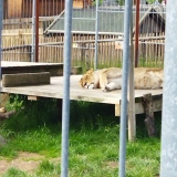 IMG_20220601_100443