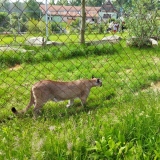 IMG_20220601_100624
