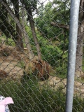 IMG_20220601_103156