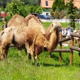 IMG_20220601_110554