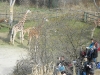 dscn0083
